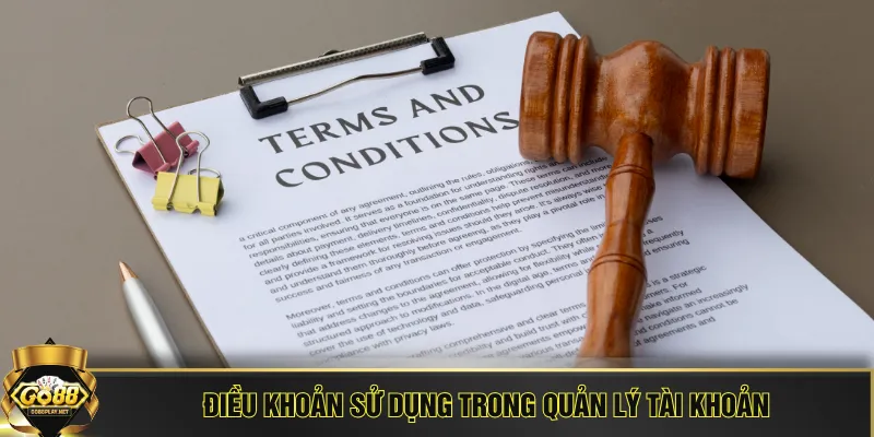 Điều khoản sử dụng trong quản lý tài khoản